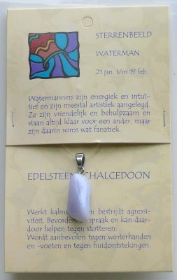Steengoed Wassermann Sternzeichen Stein Anhänger (1 Stück)