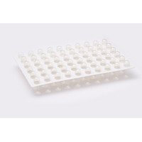 Blockland Blockland Capsel in Karte mit 50 Stück Nr. 2 (1200 Stück)