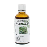 Natura Sanat Natura Sanat Plantago major / Breitwegerich Tinktur (50 Ml)