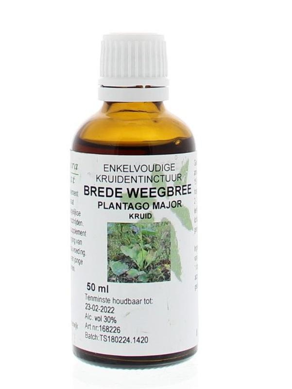 Natura Sanat Natura Sanat Plantago major / Breitwegerich Tinktur (50 Ml)