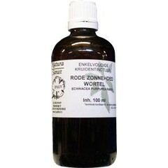 Natura Sanat Echinacea purpurea Wurzeltinktur (100 Ml)