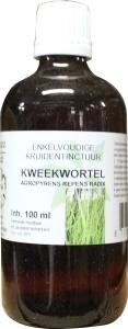 Natura Sanat Natura Sanat Triticum repens / Karottentinktur bio (100 Ml)