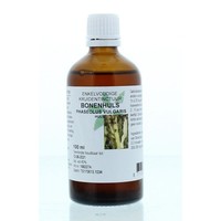 Natura Sanat Natura Sanat Phaseolus vulgaris Cort/Bohnenschoten-Tinktur (100 Ml)