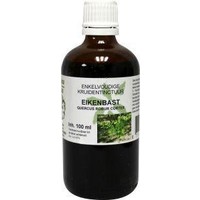 Natura Sanat Natura Sanat Quercus robur / Eichenrindentinktur bio (100 Ml)