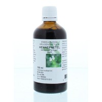 Natura Sanat Natura Sanat Galeopsis tetrahit Kraut / Hanf-Brennnessel-Tinktur (100 Ml)