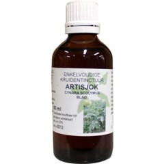 Natura Sanat Cynara scolymus / Artischockentinktur bio (50 Ml)
