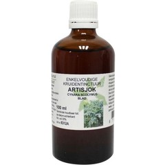Natura Sanat Cynara scolymus / Artischockentinktur bio (100 Ml)
