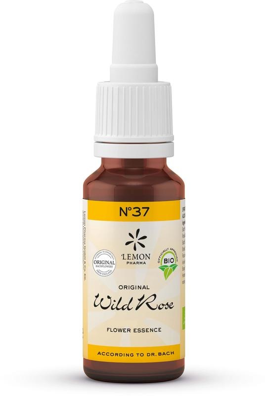 Lemonpharma Bach Bachblüten Wildrose Bio (20 Ml)