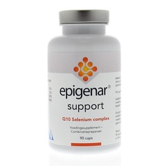 Epigenar Support Q10 Selenkomplex (90 Caps)