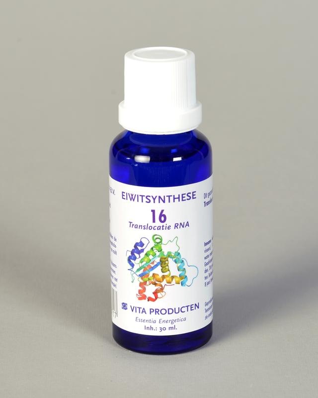 Vita Vita Proteinsynthese 16 RNA-Translokation (30 Ml)