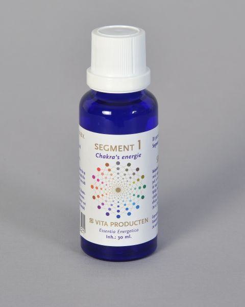 Vita Vita Segment 1 Chakrenenergie (30 Ml)