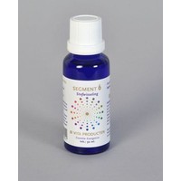 Vita Vita Segment 6 Stoffwechsel (30 Ml)