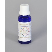Vita Vita Transkription 10 Mitochondrium quant- (30 Ml)