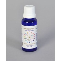 Vita Vita Transkription 5 DNA-RNA-Quant (30 Ml)