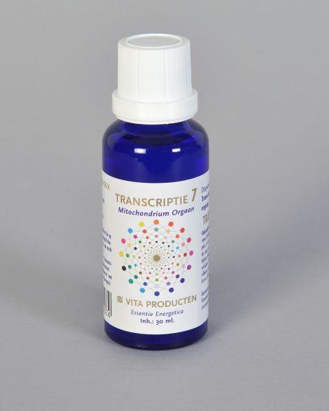 Vita Vita Transkription 7 Mitochondrienorgan (30 Ml)