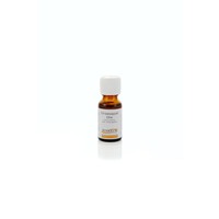 Ginkel's Ginkel's Orangenöl (15 Ml)