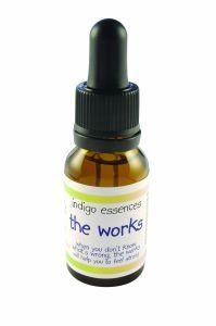 Indigo Essences Die Werke (15 Ml)