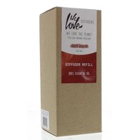 We Love We Love Diffusor warme Winternachfüllung (200 Ml)