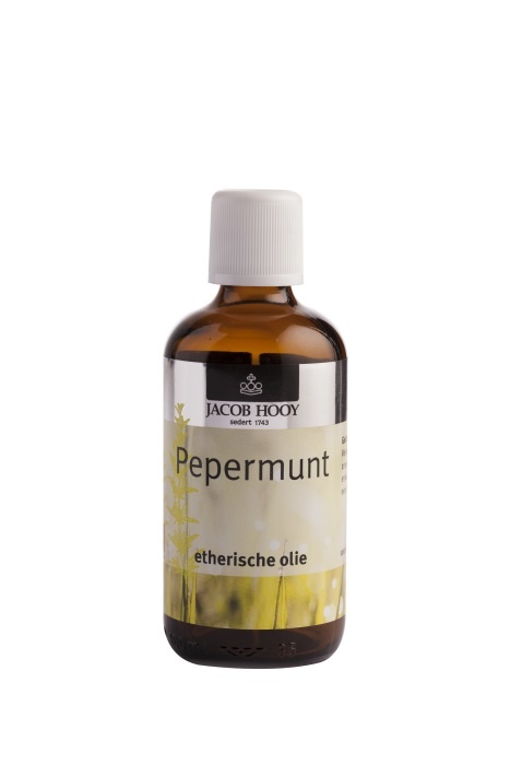 Jacob Hooy Pfefferminzöl (100 Ml)