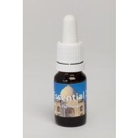 Seven Essentials Seven Essentials Taj Mahal (10Ml)