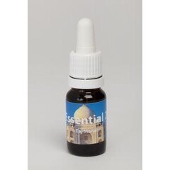 Seven Essentials Taj Mahal (10Ml)