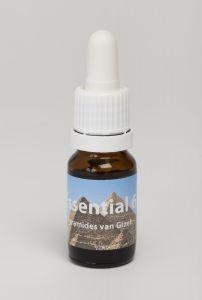 Seven Essentials Pyramiden von Gizes (10 Ml)