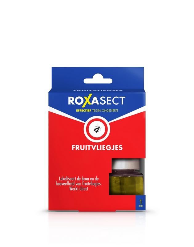 Roxasect Fruchtfliegen (1 Stück)