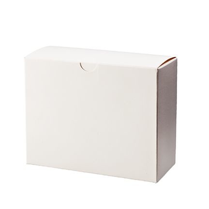 Spruyt Hillen Spruyt Hillen Ampullen Faltschachtel 10 x 10 Ml (500 Stück)