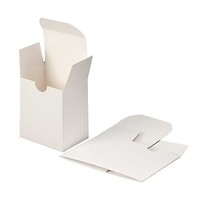 Spruyt Hillen Spruyt Hillen Ampullen Faltschachtel 12 x 2 Ml (600 Stück)