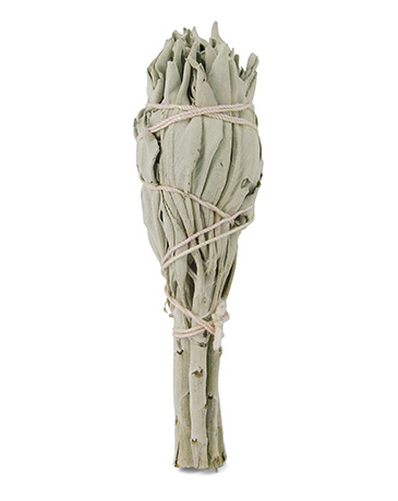 Ruben Robijn Ruben Robijn Salbeibündel 12 cm (1 Stück)