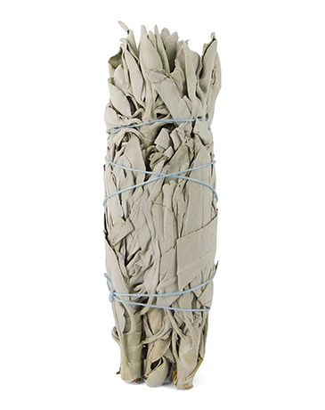 Ruben Robijn Ruben Robijn Salbeibündel 14 cm (1 Stück)