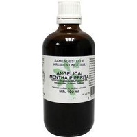Natura Sanat Natura Sanat Angelica / Mentha Piperita Kompletttinktur (100 Ml)