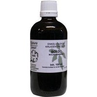Natura Sanat Natura Sanat Boldo fragrans fol / Boldo-Tinktur (100 Ml)
