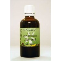 Natura Sanat Natura Sanat Lamium album / Weiße Taubnesseltinktur bio (100 Ml)
