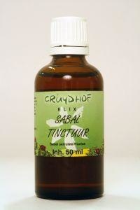 Natura Sanat Natura Sanat Lamium album / Weiße Taubnesseltinktur bio (500 Ml)