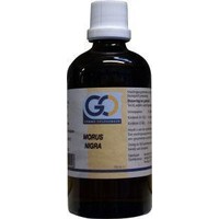 GO GO Morus nigra (100Ml)