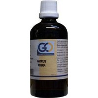 GO GO Morus nigra (100ml)