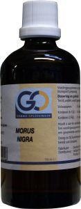 GO GO Morus nigra (100Ml)