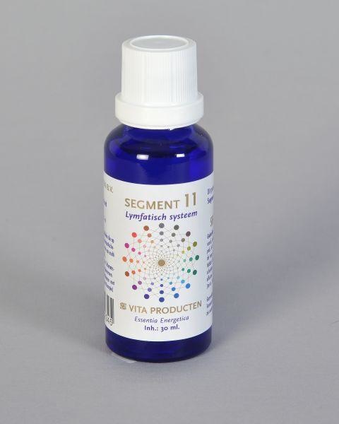 Vita Vita Segment 11 Lymphsystem (30 Ml)