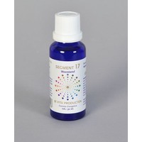 Vita Vita Segment 17 Widerstand (30 Ml)