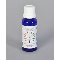 Vita Vita Segment 5 Verdauung (30 Ml)