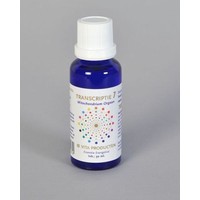 Vita Vita Transkription 7 Mitochondrienorgan (30 Ml)