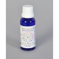 Vita Vita Transkription 9 Mitochondrien quant+ (30 Ml)
