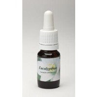 Star Remedies Star Remedies Eukalyptus (10Ml)