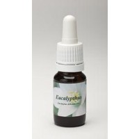 Star Remedies Star Remedies Eukalyptus (10ml)