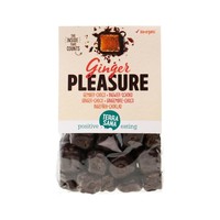Terrasana Terrasana Ingwer-Genuss-Schokolade bio (150 gr)