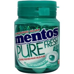 Mentos Gum pure wintergreen pot (30 Stück)