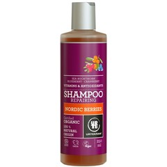 Urtekram Nördliches Johannisbeer-Shampoo normales Haar (250 ml)