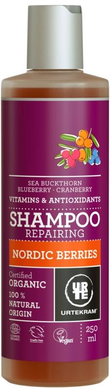 Urtekram Urtekram Nördliches Johannisbeer-Shampoo normales Haar (250 ml)