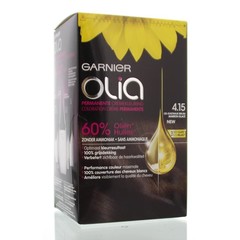 Garnier Olia 4.15 eiskastanienbraun (1 Set)